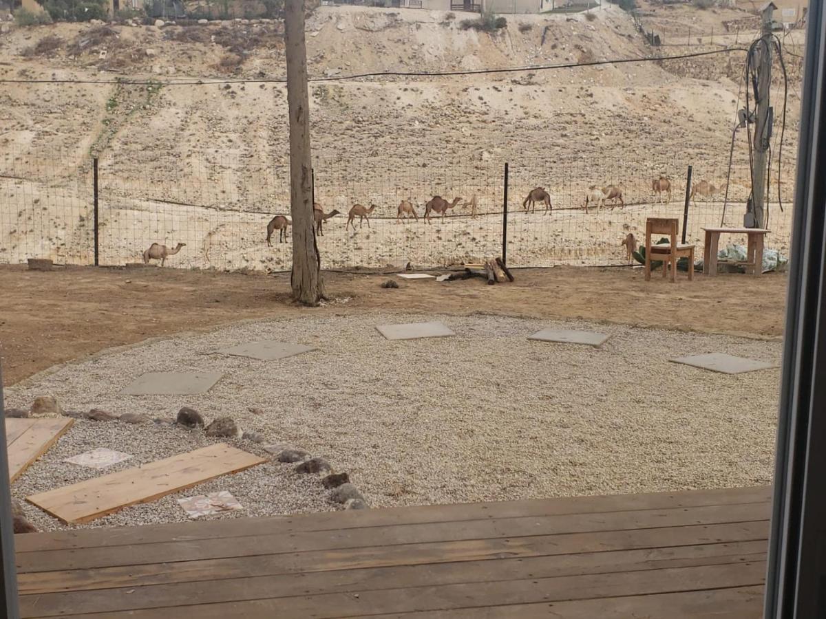 Moonlight Suite Arad צימר אור הירח, ערד 外观 照片